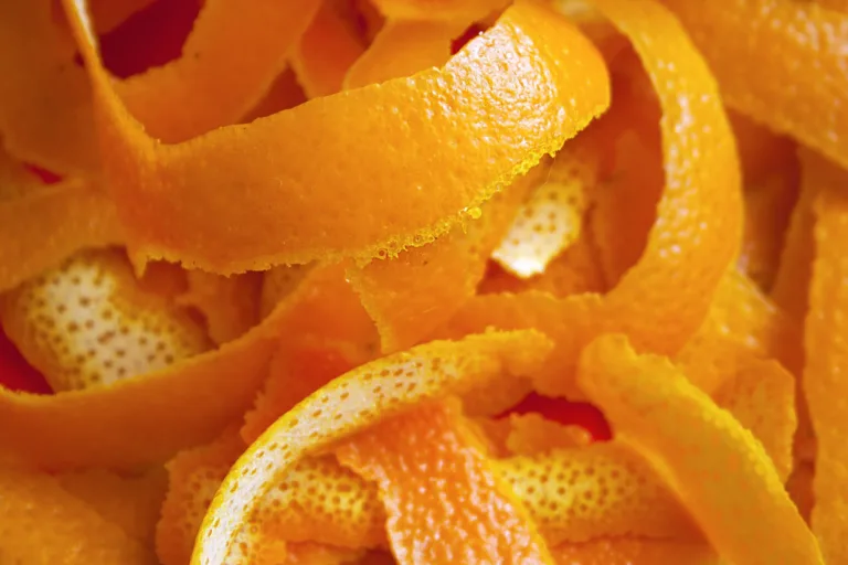 ChemistryCan_Biobased plastic could disintegrate faster than orange peels and paper