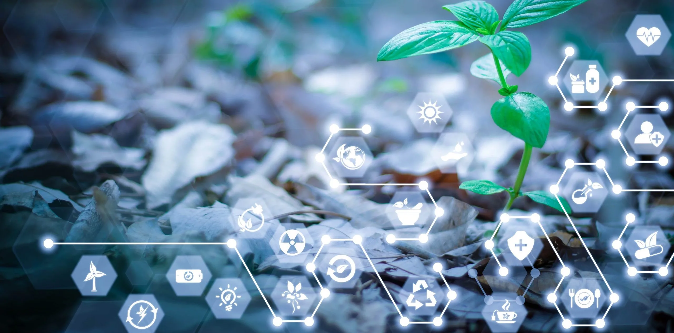 Future Chemistry Network