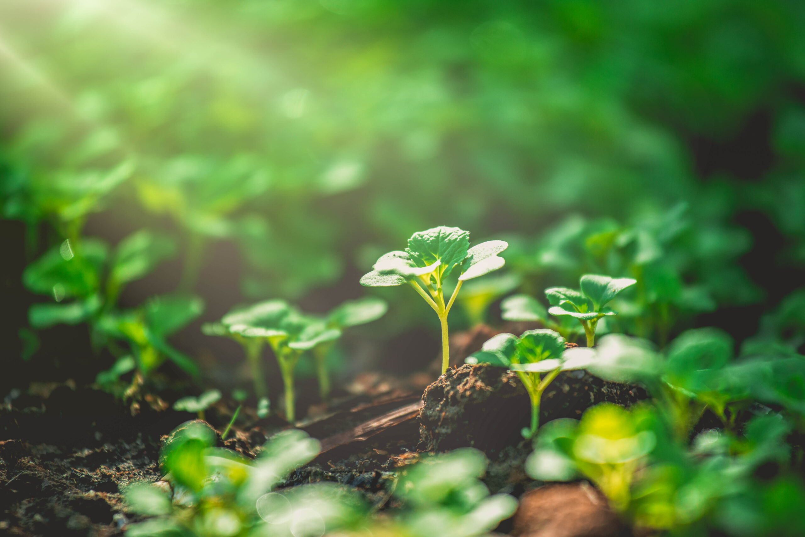 Responsible Care Awards